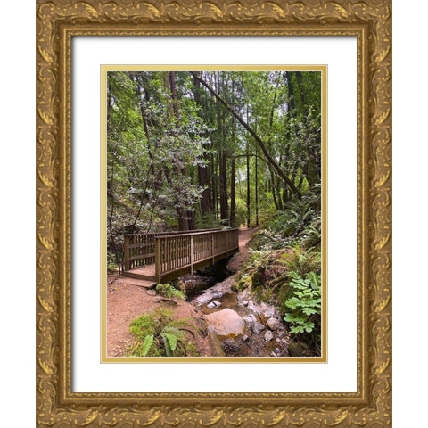 Forest Bridge III Gold Ornate Wood Framed Art Print with Double Matting by Grayscale