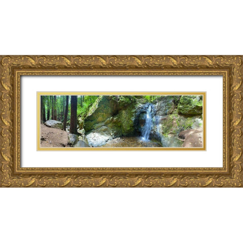 Waterfall I Gold Ornate Wood Framed Art Print with Double Matting by Grayscale