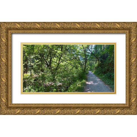 Forest Canopy II Gold Ornate Wood Framed Art Print with Double Matting by Grayscale