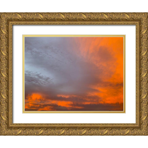 Cloudy Sky VIII Gold Ornate Wood Framed Art Print with Double Matting by Grayscale