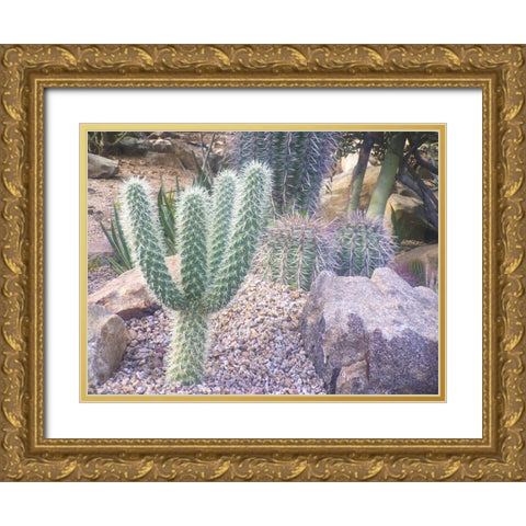 Cactus Arrangement I Gold Ornate Wood Framed Art Print with Double Matting by Grayscale