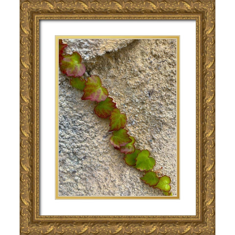 Ivy I Gold Ornate Wood Framed Art Print with Double Matting by Grayscale