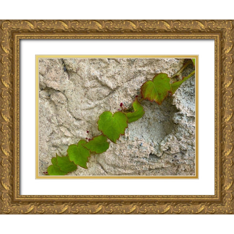 Ivy III Gold Ornate Wood Framed Art Print with Double Matting by Grayscale