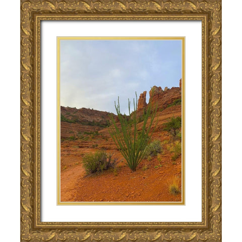 Sedona I Gold Ornate Wood Framed Art Print with Double Matting by Grayscale