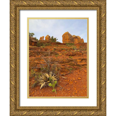 Sedona II Gold Ornate Wood Framed Art Print with Double Matting by Grayscale
