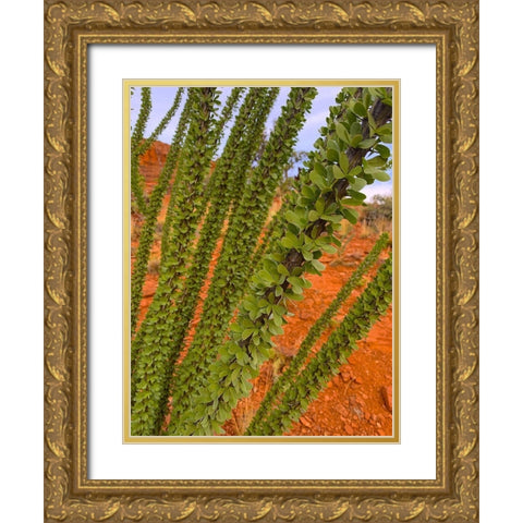 Sedona III Gold Ornate Wood Framed Art Print with Double Matting by Grayscale