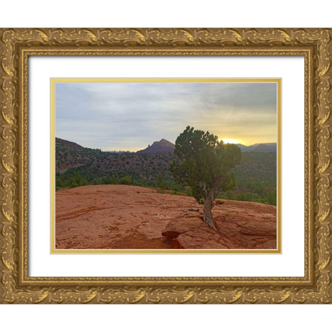 Sedona IV Gold Ornate Wood Framed Art Print with Double Matting by Grayscale