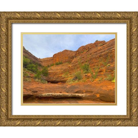 Sedona V Gold Ornate Wood Framed Art Print with Double Matting by Grayscale