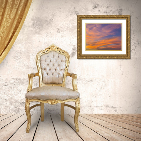 Sunset IV Gold Ornate Wood Framed Art Print with Double Matting by Grayscale