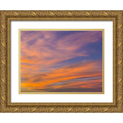 Sunset IV Gold Ornate Wood Framed Art Print with Double Matting by Grayscale