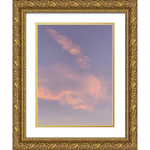 Sunset V Gold Ornate Wood Framed Art Print with Double Matting by Grayscale