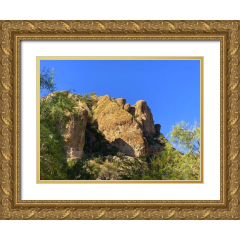 Desert Rock Face I Gold Ornate Wood Framed Art Print with Double Matting by Grayscale