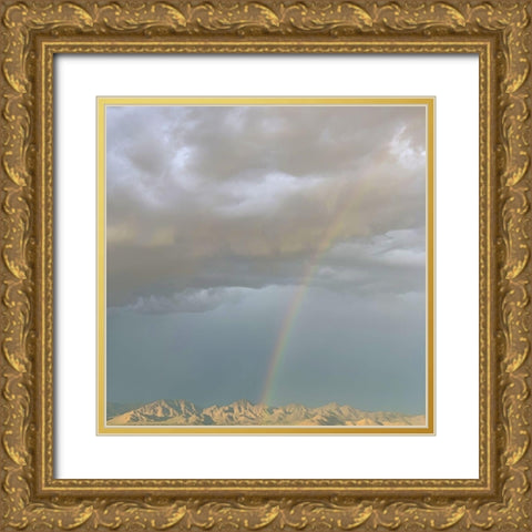 Rainbow I Gold Ornate Wood Framed Art Print with Double Matting by Grayscale