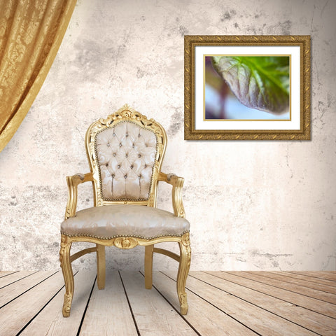 Leaf Edge I Gold Ornate Wood Framed Art Print with Double Matting by Grayscale