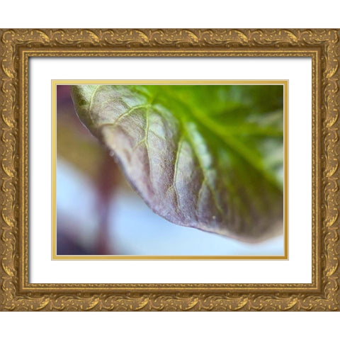 Leaf Edge I Gold Ornate Wood Framed Art Print with Double Matting by Grayscale