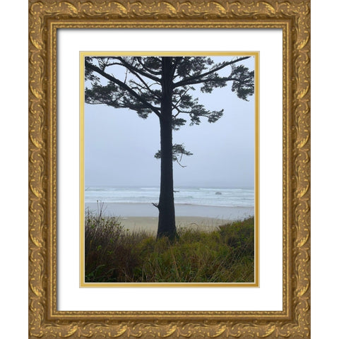 Costal Tree View I Gold Ornate Wood Framed Art Print with Double Matting by Grayscale