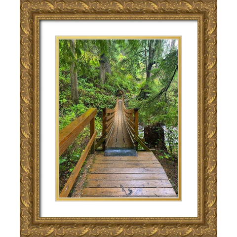 Forest Bridge IV Gold Ornate Wood Framed Art Print with Double Matting by Grayscale