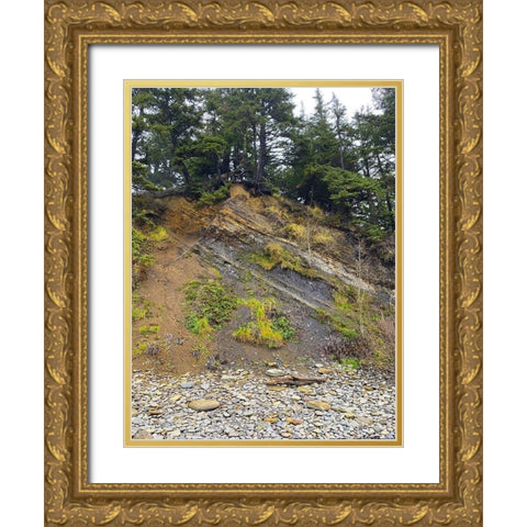 Eroded Coast I Gold Ornate Wood Framed Art Print with Double Matting by Grayscale