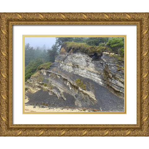 Eroded Coast II Gold Ornate Wood Framed Art Print with Double Matting by Grayscale