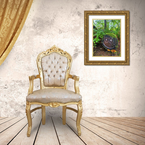 Forest Happy Face I Gold Ornate Wood Framed Art Print with Double Matting by Grayscale