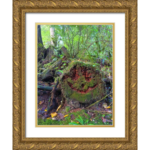 Forest Happy Face II Gold Ornate Wood Framed Art Print with Double Matting by Grayscale