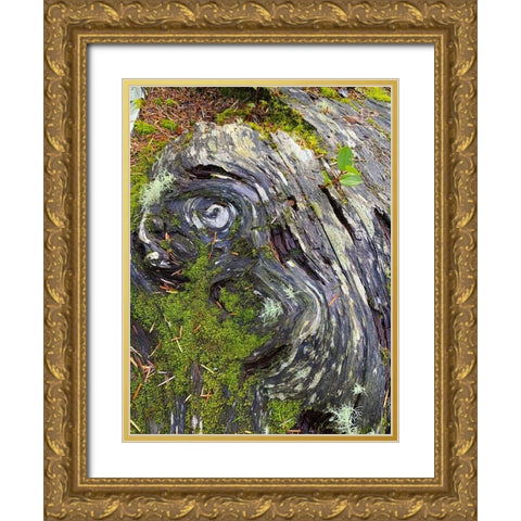 The Scream Gold Ornate Wood Framed Art Print with Double Matting by Grayscale