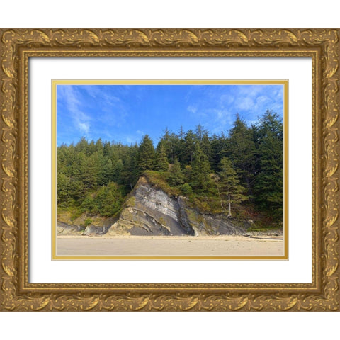 Eroded Coast III Gold Ornate Wood Framed Art Print with Double Matting by Grayscale