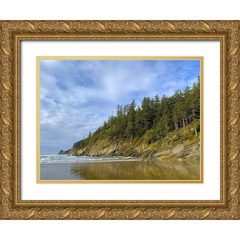 Eroded Coast IV Gold Ornate Wood Framed Art Print with Double Matting by Grayscale