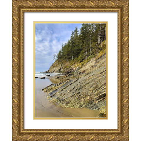 Eroded Coast V Gold Ornate Wood Framed Art Print with Double Matting by Grayscale