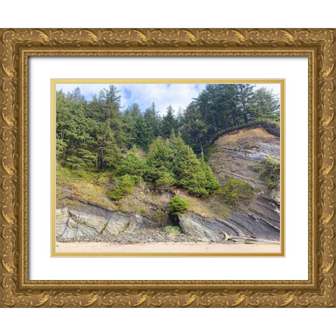 Eroded Coast V Gold Ornate Wood Framed Art Print with Double Matting by Grayscale