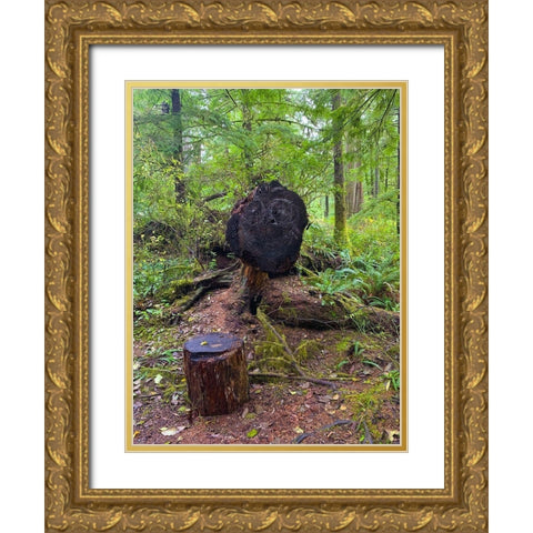 Forest Happy Face III Gold Ornate Wood Framed Art Print with Double Matting by Grayscale