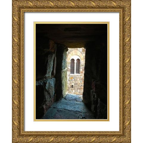 Dark Path I Gold Ornate Wood Framed Art Print with Double Matting by Grayscale