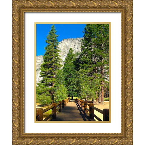 Yosemite Bridge I Gold Ornate Wood Framed Art Print with Double Matting by Grayscale