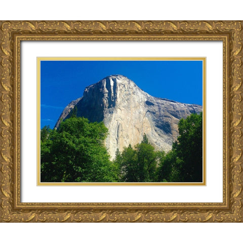 El Capitan I Gold Ornate Wood Framed Art Print with Double Matting by Grayscale