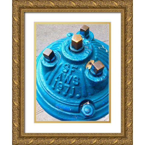 Blue Fire Hydrant I Gold Ornate Wood Framed Art Print with Double Matting by Grayscale