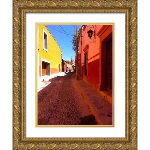 Old Street I Gold Ornate Wood Framed Art Print with Double Matting by Grayscale