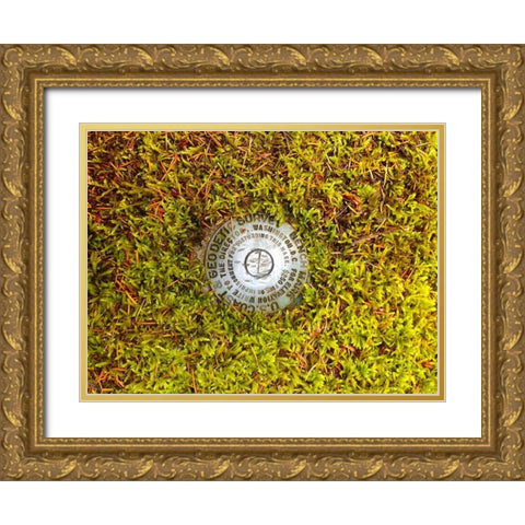 US Geodetic Survey Point I Gold Ornate Wood Framed Art Print with Double Matting by Grayscale