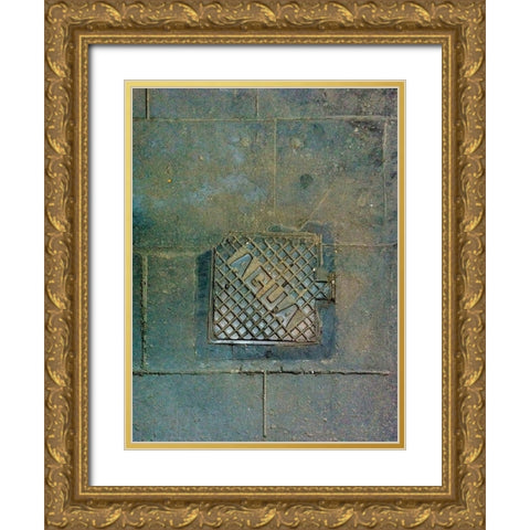 Agua Gold Ornate Wood Framed Art Print with Double Matting by Grayscale