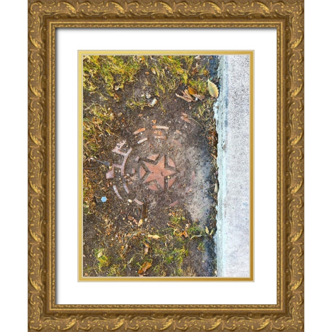 Utility Cover VII Gold Ornate Wood Framed Art Print with Double Matting by Grayscale