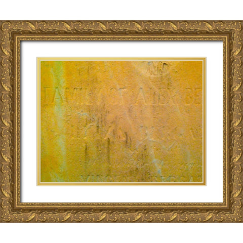 Mausoleum II Gold Ornate Wood Framed Art Print with Double Matting by Grayscale