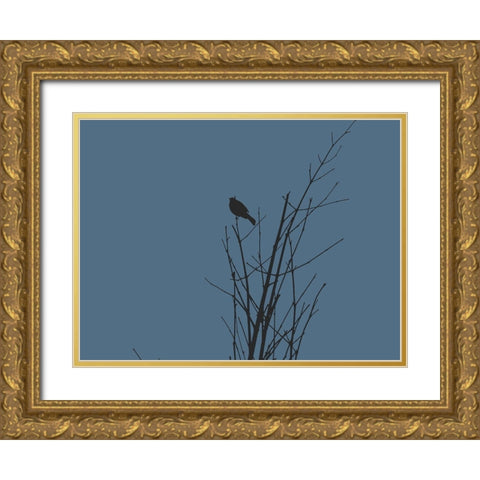 Bird Silhouette: Black/Blue Gold Ornate Wood Framed Art Print with Double Matting by Popcorn