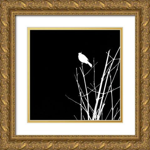 Bird Silhouette VII Gold Ornate Wood Framed Art Print with Double Matting by Popcorn