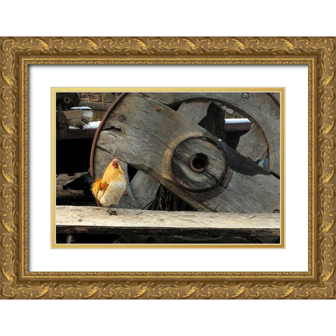 Cock of the Walk Gold Ornate Wood Framed Art Print with Double Matting by Popcorn