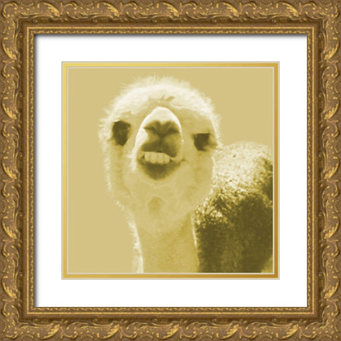 Alpaca Yellow Gold Ornate Wood Framed Art Print with Double Matting by Popcorn