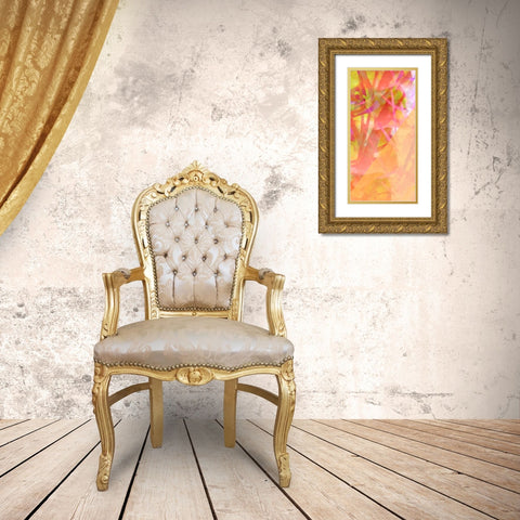 Wayfinder B Gold Ornate Wood Framed Art Print with Double Matting by Popcorn