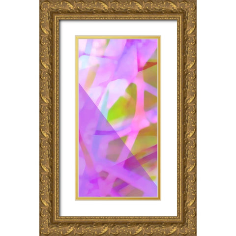 Wayfinder C Gold Ornate Wood Framed Art Print with Double Matting by Popcorn