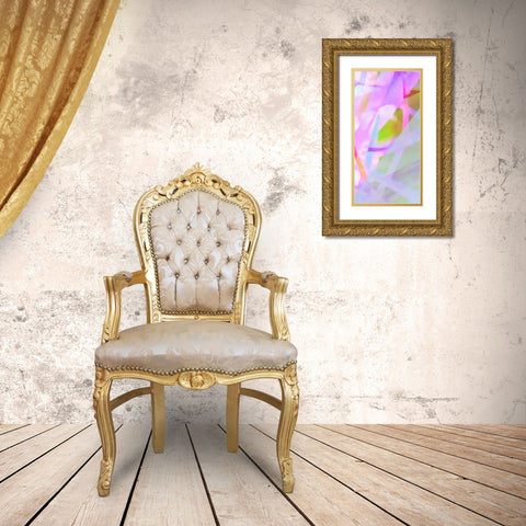 Wayfinder D Gold Ornate Wood Framed Art Print with Double Matting by Popcorn