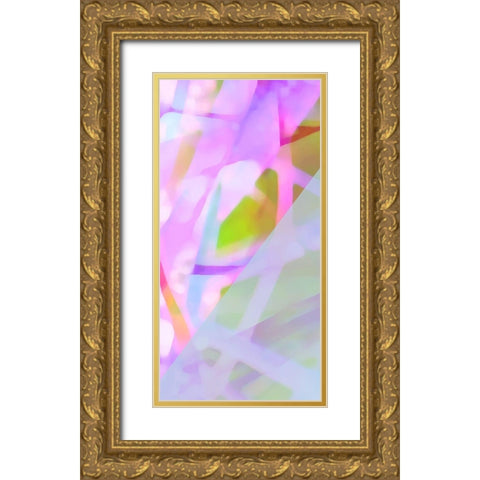 Wayfinder D Gold Ornate Wood Framed Art Print with Double Matting by Popcorn