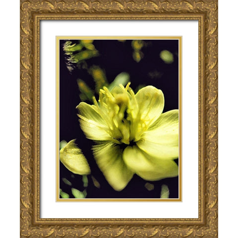Moody White Flower II Gold Ornate Wood Framed Art Print with Double Matting by Popcorn