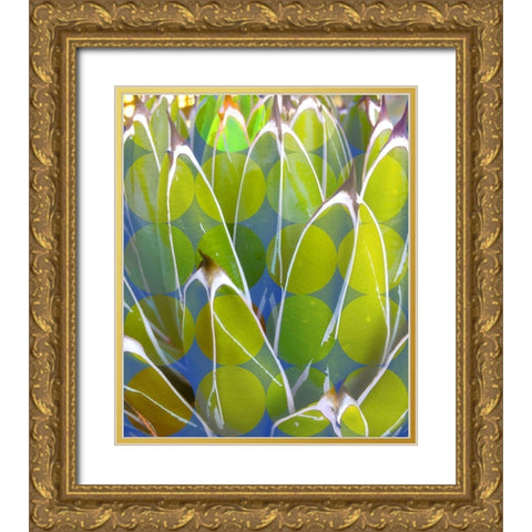 Moods Agave III Gold Ornate Wood Framed Art Print with Double Matting by Tenoever, William